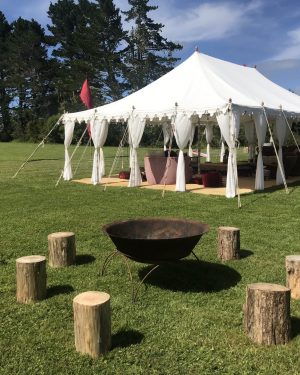 fire pit and stumps for rent
