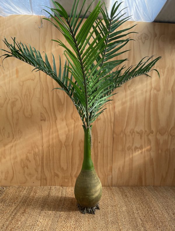 XL Artificial Palm