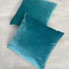 Turquoise Velvet Cushion